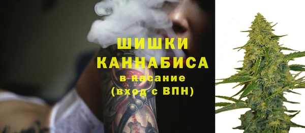 мескалин Богородицк