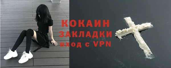 молекула духа Богданович