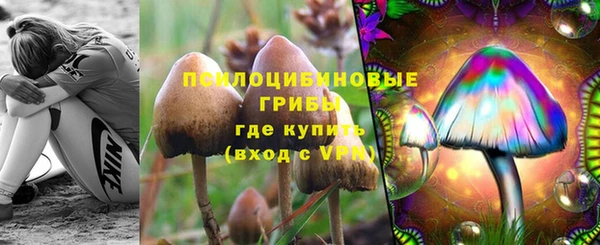 СК Белокуриха