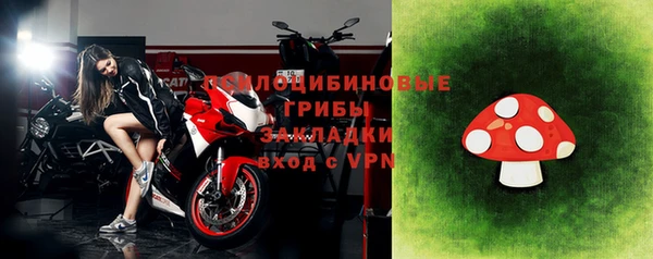 молекула духа Богданович