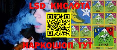 гашик Камышлов