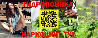 гашик Камышлов