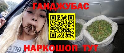 гашик Камышлов