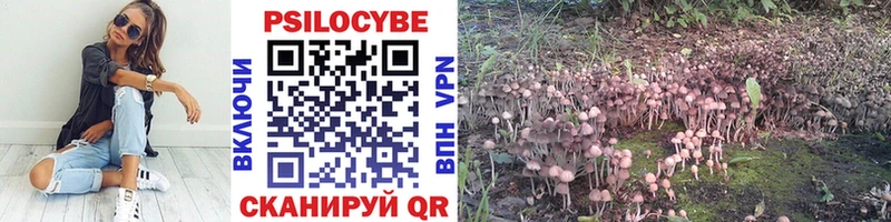 нарко площадка какой сайт  Лыткарино  Галлюциногенные грибы Magic Shrooms 