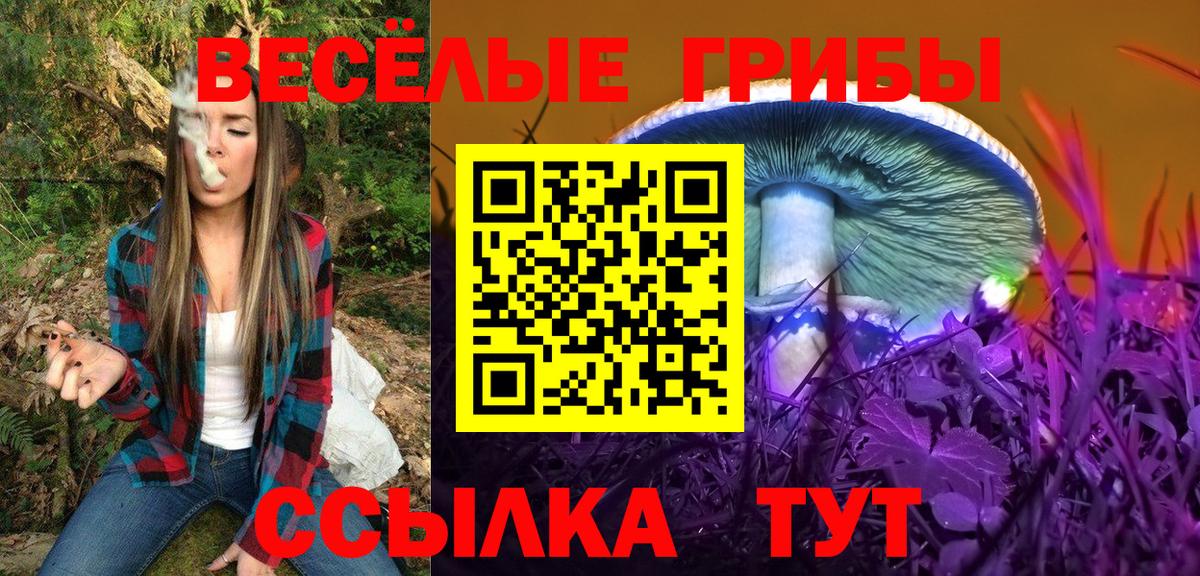 Псилоцибиновые грибы прущие грибы Лыткарино