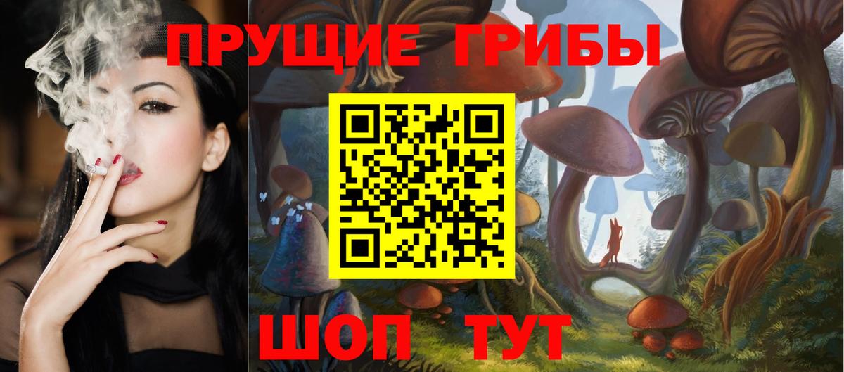 хочу   Вход с VPN  Лыткарино  Галлюциногенные грибы MAGIC MUSHROOMS 